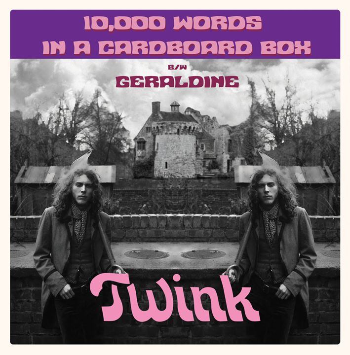TWINK "10,000 Words In a Cardboard Box" 7"