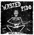 Wasted Pido ‎– Home Sick Blues 45 split