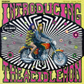 The Acid Lemon ‎– Introducing CD ( Teen Sound)