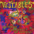 The Vejtables ‎– Hide Yourself 45