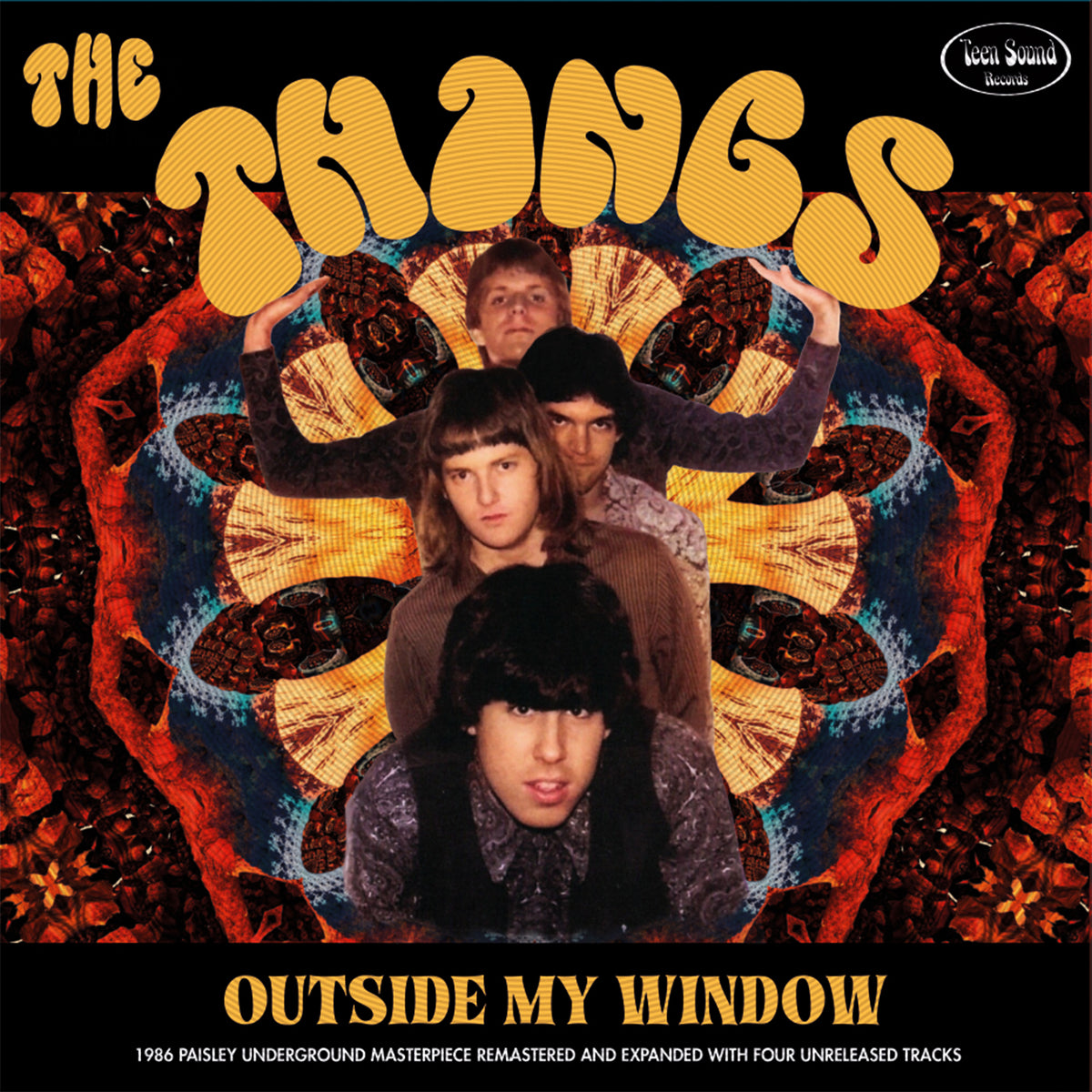 THE THINGS "Outside My Window" LP