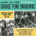 Various ‎– Last Of The Garage Punk Unknowns Volume 1 LP