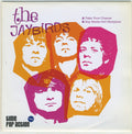 The Jaybirds ‎– Take Your Chance / Boy Meets Girl Storyline 45