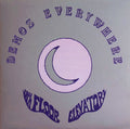 13th Floor Elevators – Demos Everywhere LP