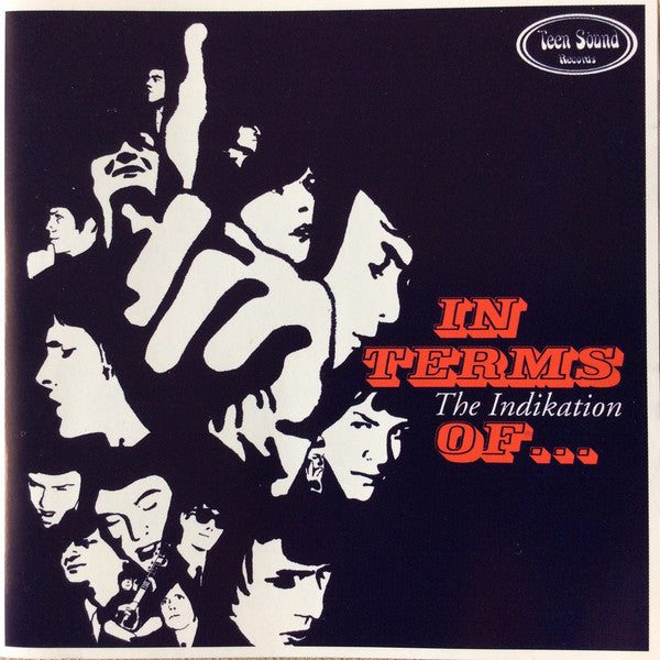 The INDIKATION "In Terms Of..." (Teen Sound) CD
