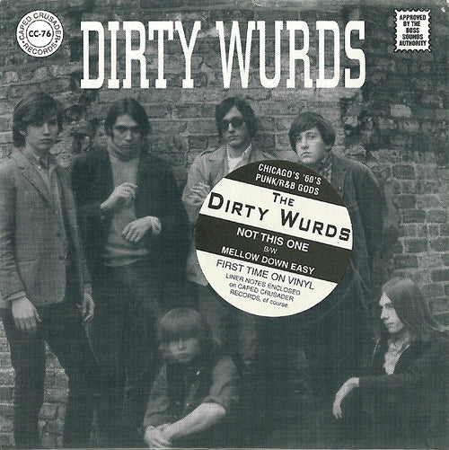 Dirty Wurds ‎– Not This One 45