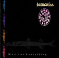 Barracudas – Wait For Everything LP