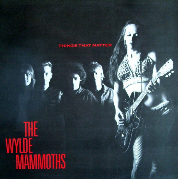 The Wylde Mammoths – Things That Matter LP VG+/VG+