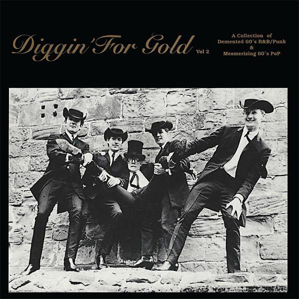 Various – Diggin' For Gold Vol 2 Various - Diggin' For Gold Vol 2 album cover La