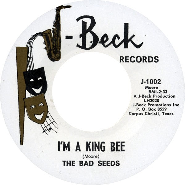 The Bad Seeds "Taste Of The Same" 45