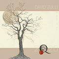 DAVID ZULLI "2Q20" LP