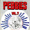 Various – Pebbles Vol. 7